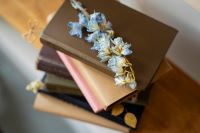 ��������