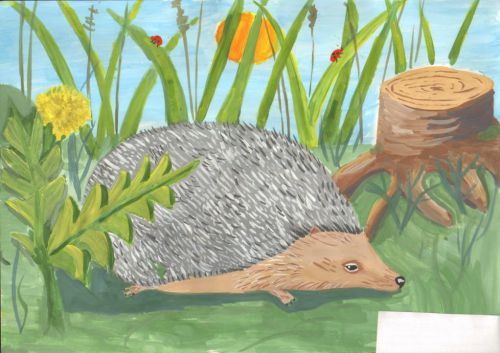 �������� �����, 11 ���. "������ ������"