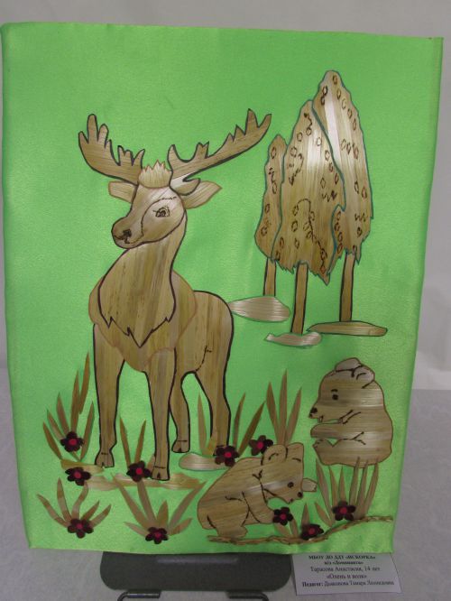 �������� ���������, 14 ���, ������ � ����, ���������� ��. �.�. �������