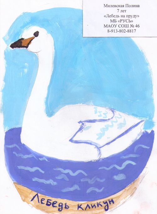  , 7 , "  ",  ""