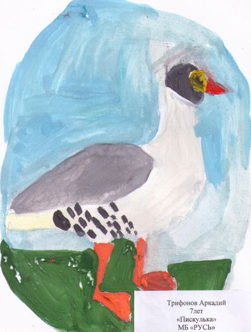  , 7 , "",  ""