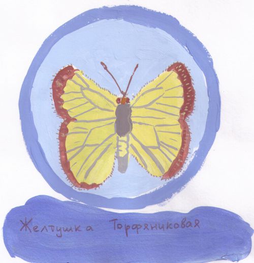  , 8 , " ",  ""