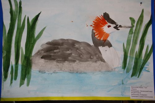  , 7 , "",  ""