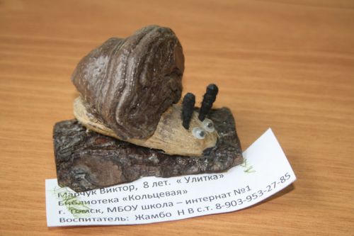  , 8 , "",  ""