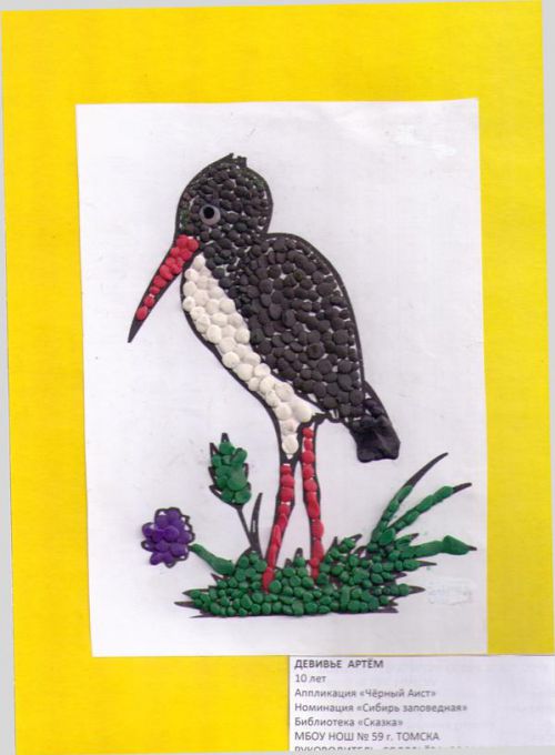  , 10 , "׸ ",  ""